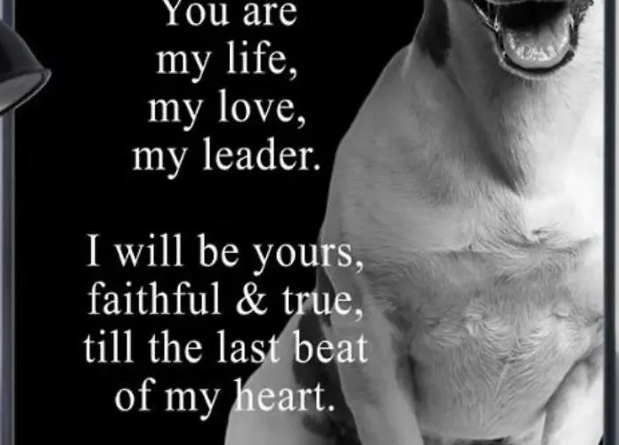 Apartment Camera B&B Hotel Parma